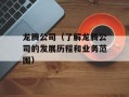 龙腾公司（了解龙腾公司的发展历程和业务范围）