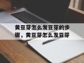 黄豆芽怎么发豆芽的步骤，黄豆芽怎么发豆芽