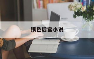 银色后宫小说