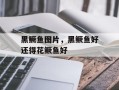 黑鳜鱼图片，黑鳜鱼好还得花鳜鱼好