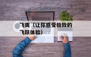 飞爽（让你感受极致的飞跃体验）