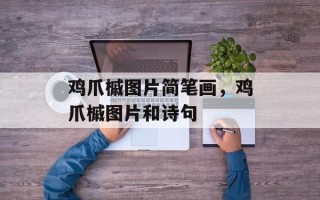鸡爪槭图片简笔画，鸡爪槭图片和诗句