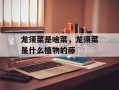 龙须菜是啥菜，龙须菜是什么植物的藤