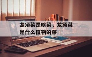 龙须菜是啥菜，龙须菜是什么植物的藤
