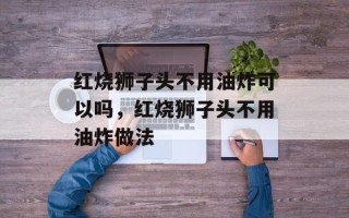 红烧狮子头不用油炸可以吗，红烧狮子头不用油炸做法