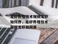龙虾养殖技术视频龙虾如何养，龙虾养殖技术视频龙虾如何养