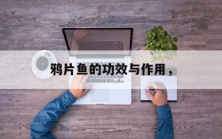 鸦片鱼的功效与作用，