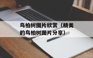 鸟柏树图片欣赏（精美的鸟柏树图片分享）