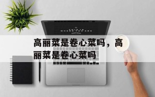 高丽菜是卷心菜吗，高丽菜是卷心菜吗