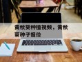 黄秋葵种植视频，黄秋葵种子报价