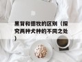 黑背和德牧的区别（探究两种犬种的不同之处）