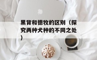 黑背和德牧的区别（探究两种犬种的不同之处）