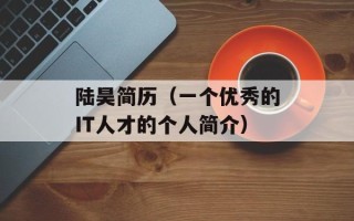 陆昊简历（一个优秀的IT人才的个人简介）