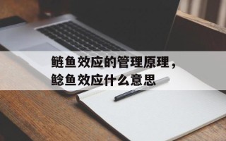 鲢鱼效应的管理原理，鲶鱼效应什么意思