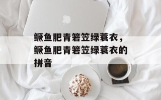 鳜鱼肥青箬笠绿蓑衣，鳜鱼肥青箬笠绿蓑衣的拼音