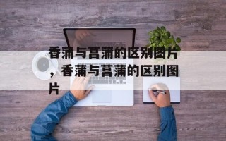香蒲与菖蒲的区别图片，香蒲与菖蒲的区别图片