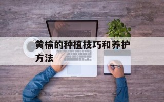 黄榆的种植技巧和养护方法