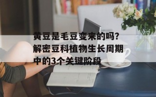 黄豆是毛豆变来的吗？解密豆科植物生长周期中的3个关键阶段