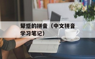 颦蹙的拼音（中文拼音学习笔记）