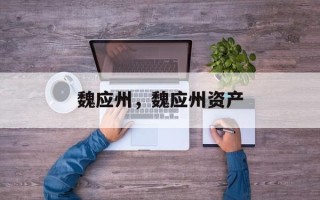 魏应州，魏应州资产