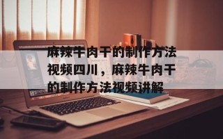 麻辣牛肉干的制作方法视频四川，麻辣牛肉干的制作方法视频讲解