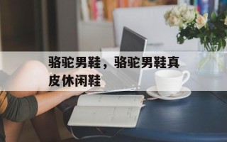 骆驼男鞋，骆驼男鞋真皮休闲鞋