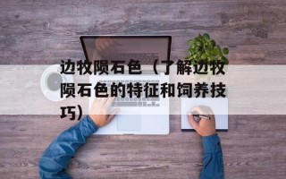 边牧陨石色（了解边牧陨石色的特征和饲养技巧）