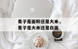 麦子是面粉还是大米，麦子是大米还是白面