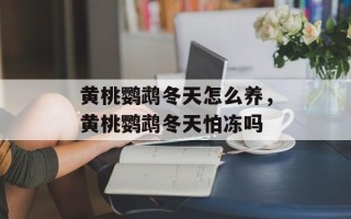 黄桃鹦鹉冬天怎么养，黄桃鹦鹉冬天怕冻吗