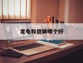 龙龟和貔貅哪个好