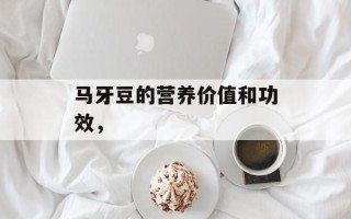 马牙豆的营养价值和功效，