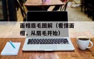 面相眉毛图解（看懂面相，从眉毛开始）