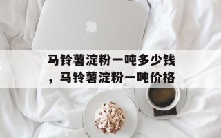 马铃薯淀粉一吨多少钱，马铃薯淀粉一吨价格