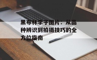 黑布林李子图片：从品种辨识到拍摄技巧的全方位指南