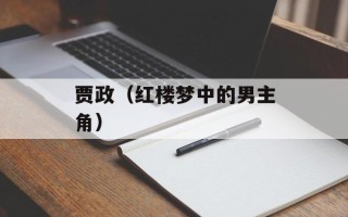 贾政（红楼梦中的男主角）