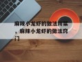 麻辣小龙虾的做法川菜，麻辣小龙虾的做法窍门