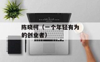 陈晓柯（一个年轻有为的创业者）