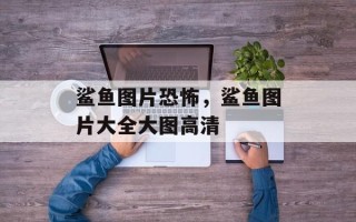 鲨鱼图片恐怖，鲨鱼图片大全大图高清