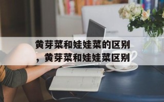 黄芽菜和娃娃菜的区别，黄芽菜和娃娃菜区别