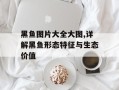 黑鱼图片大全大图,详解黑鱼形态特征与生态价值