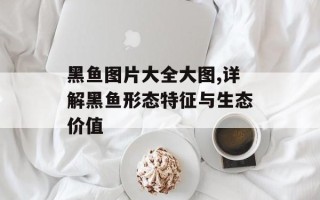 黑鱼图片大全大图,详解黑鱼形态特征与生态价值