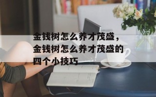 金钱树怎么养才茂盛，金钱树怎么养才茂盛的四个小技巧