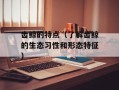 齿鲸的特点（了解齿鲸的生态习性和形态特征）