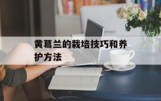 黄葛兰的栽培技巧和养护方法