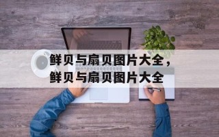 鲜贝与扇贝图片大全，鲜贝与扇贝图片大全