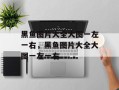 黑鱼图片大全大图一左一右，黑鱼图片大全大图一左一右