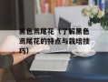 黑色鸢尾花（了解黑色鸢尾花的特点与栽培技巧）