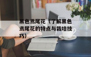 黑色鸢尾花（了解黑色鸢尾花的特点与栽培技巧）