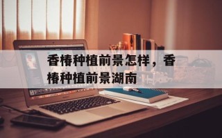 香椿种植前景怎样，香椿种植前景湖南