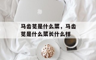 马齿苋是什么菜，马齿苋是什么菜长什么样